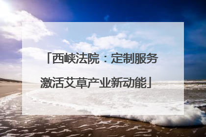 西峡法院：定制服务激活艾草产业新动能