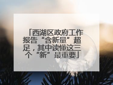西湖区政府工作报告“含新量”超足，其中读懂这三个“新”最重要