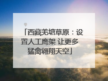 西藏羌塘草原：设置人工鹰架 让更多猛禽翱翔天空