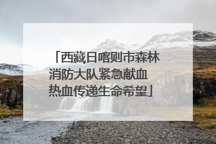 西藏日喀则市森林消防大队紧急献血 热血传递生命希望