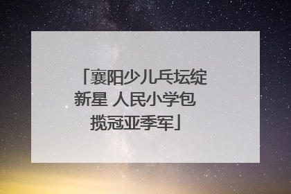 襄阳少儿乓坛绽新星 人民小学包揽冠亚季军