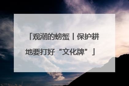 观潮的螃蟹丨保护耕地要打好“文化牌”