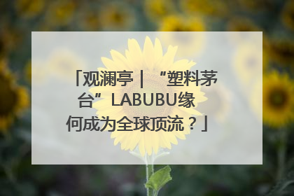 观澜亭｜“塑料茅台”LABUBU缘何成为全球顶流？