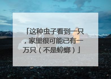 这种虫子看到一只，家里很可能已有一万只（不是蟑螂）