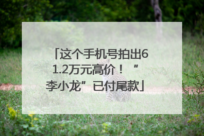 这个手机号拍出61.2万元高价！“李小龙”已付尾款