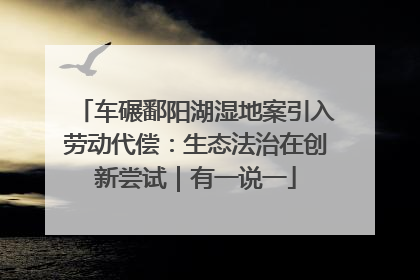 车碾鄱阳湖湿地案引入劳动代偿：生态法治在创新尝试｜有一说一
