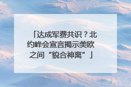 达成军费共识？北约峰会宣言揭示美欧之间“貌合神离”