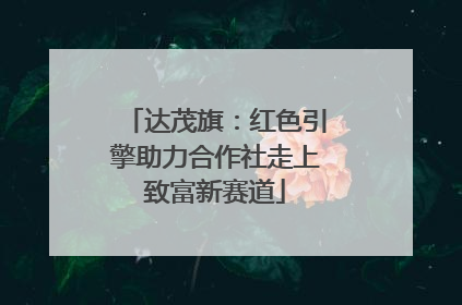 达茂旗：红色引擎助力合作社走上致富新赛道
