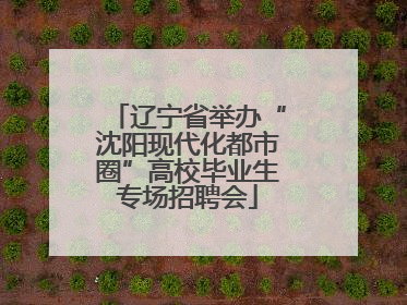 辽宁省举办“沈阳现代化都市圈”高校毕业生专场招聘会