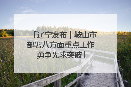 辽宁发布｜鞍山市部署八方面重点工作勇争先求突破
