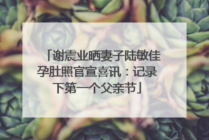 谢震业晒妻子陆敏佳孕肚照官宣喜讯：记录下第一个父亲节