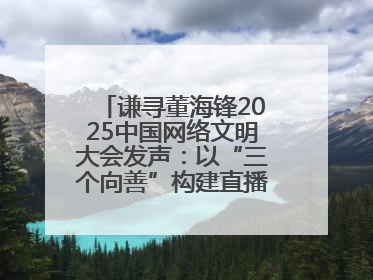 谦寻董海锋2025中国网络文明大会发声：以“三个向善”构建直播电商善意长河