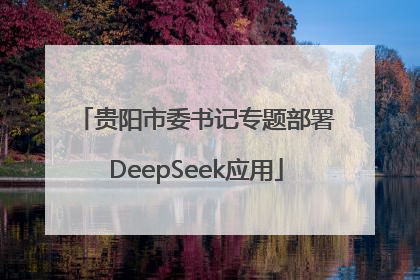 贵阳市委书记专题部署DeepSeek应用