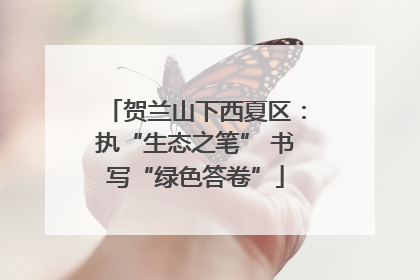 贺兰山下西夏区：执“生态之笔” 书写“绿色答卷”