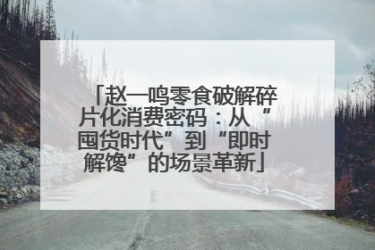 赵一鸣零食破解碎片化消费密码：从“囤货时代”到“即时解馋”的场景革新