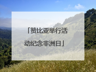 赞比亚举行活动纪念非洲日