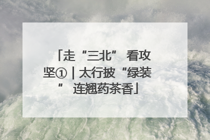 走“三北” 看攻坚①｜太行披“绿装” 连翘药茶香
