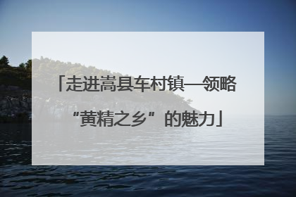 走进嵩县车村镇—领略“黄精之乡”的魅力