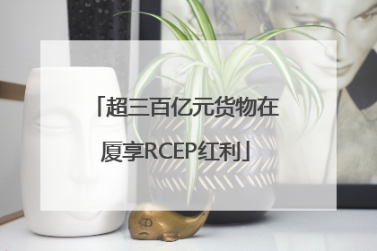 超三百亿元货物在厦享RCEP红利