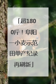超1800斤！阜阳一小麦示范田单产纪录再刷新