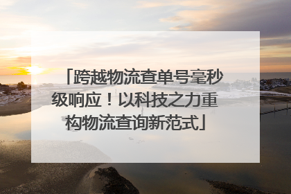 跨越物流查单号毫秒级响应！以科技之力重构物流查询新范式