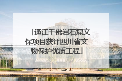 通江千佛岩石窟文保项目获评四川省文物保护优质工程