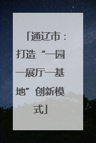 通辽市：打造“一园一展厅一基地”创新模式