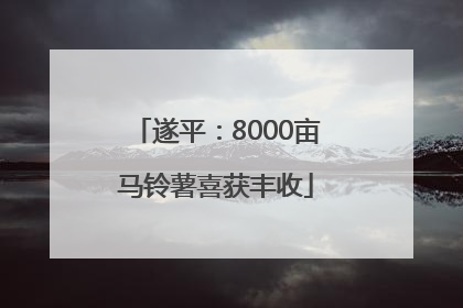 遂平：8000亩马铃薯喜获丰收