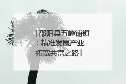 邵阳县五峰铺镇：精准发展产业 拓宽共富之路