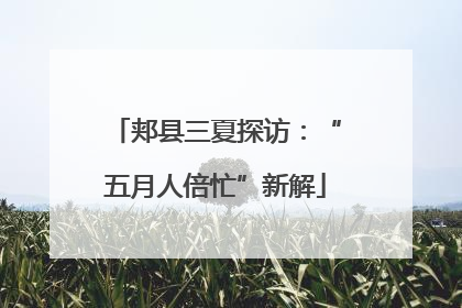 郏县三夏探访：“五月人倍忙”新解
