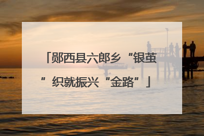 郧西县六郎乡“银茧”织就振兴“金路”