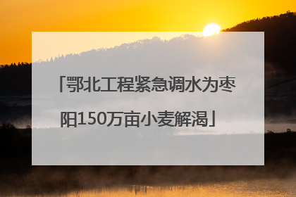 鄂北工程紧急调水为枣阳150万亩小麦解渴