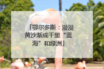 鄂尔多斯：漫漫黄沙渐成千里“蓝海”和绿洲