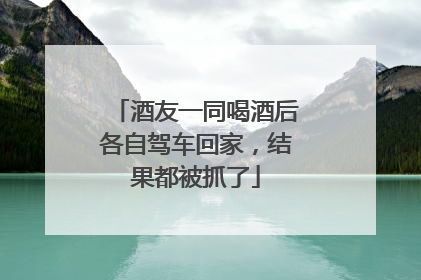酒友一同喝酒后各自驾车回家，结果都被抓了