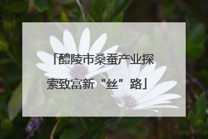 醴陵市桑蚕产业探索致富新“丝”路