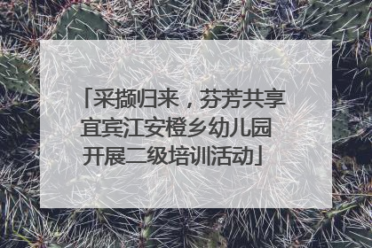 采撷归来，芬芳共享 宜宾江安橙乡幼儿园开展二级培训活动