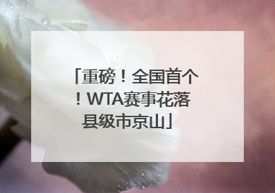 重磅！全国首个！WTA赛事花落县级市京山