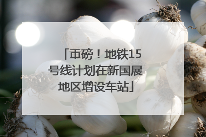 重磅！地铁15号线计划在新国展地区增设车站
