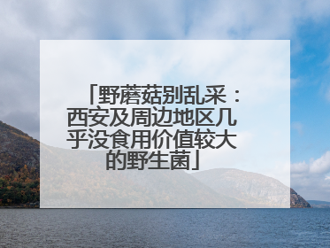 野蘑菇别乱采：西安及周边地区几乎没食用价值较大的野生菌
