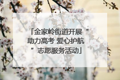 金家岭街道开展“助力高考 爱心护航”志愿服务活动
