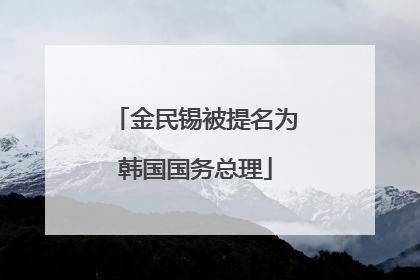 金民锡被提名为韩国国务总理