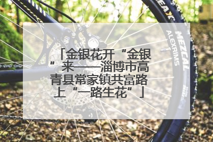 金银花开“金银”来——淄博市高青县常家镇共富路上“一路生花”