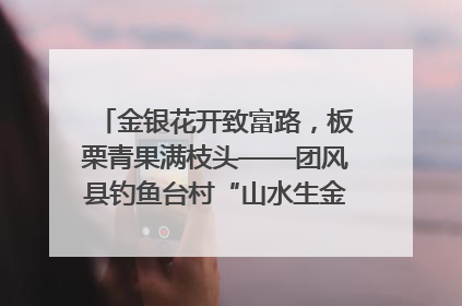 金银花开致富路，板栗青果满枝头——团风县钓鱼台村“山水生金”谱写共富新篇章