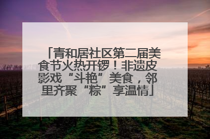 青和居社区第二届美食节火热开锣！非遗皮影戏“斗艳”美食，邻里齐聚“粽”享温情