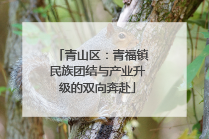 青山区：青福镇民族团结与产业升级的双向奔赴
