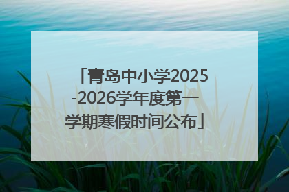 青岛中小学2025-2026学年度第一学期寒假时间公布