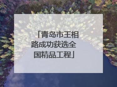 青岛市王相路成功获选全国精品工程