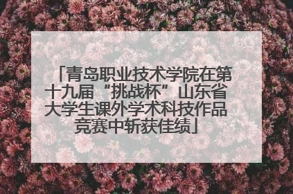 青岛职业技术学院在第十九届“挑战杯”山东省大学生课外学术科技作品竞赛中斩获佳绩