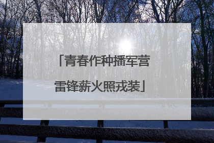 青春作种播军营 雷锋薪火照戎装
