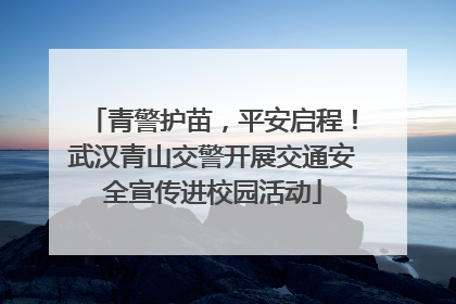 青警护苗，平安启程！武汉青山交警开展交通安全宣传进校园活动